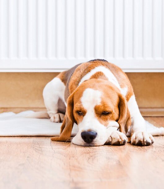 Central Heating Wrexham