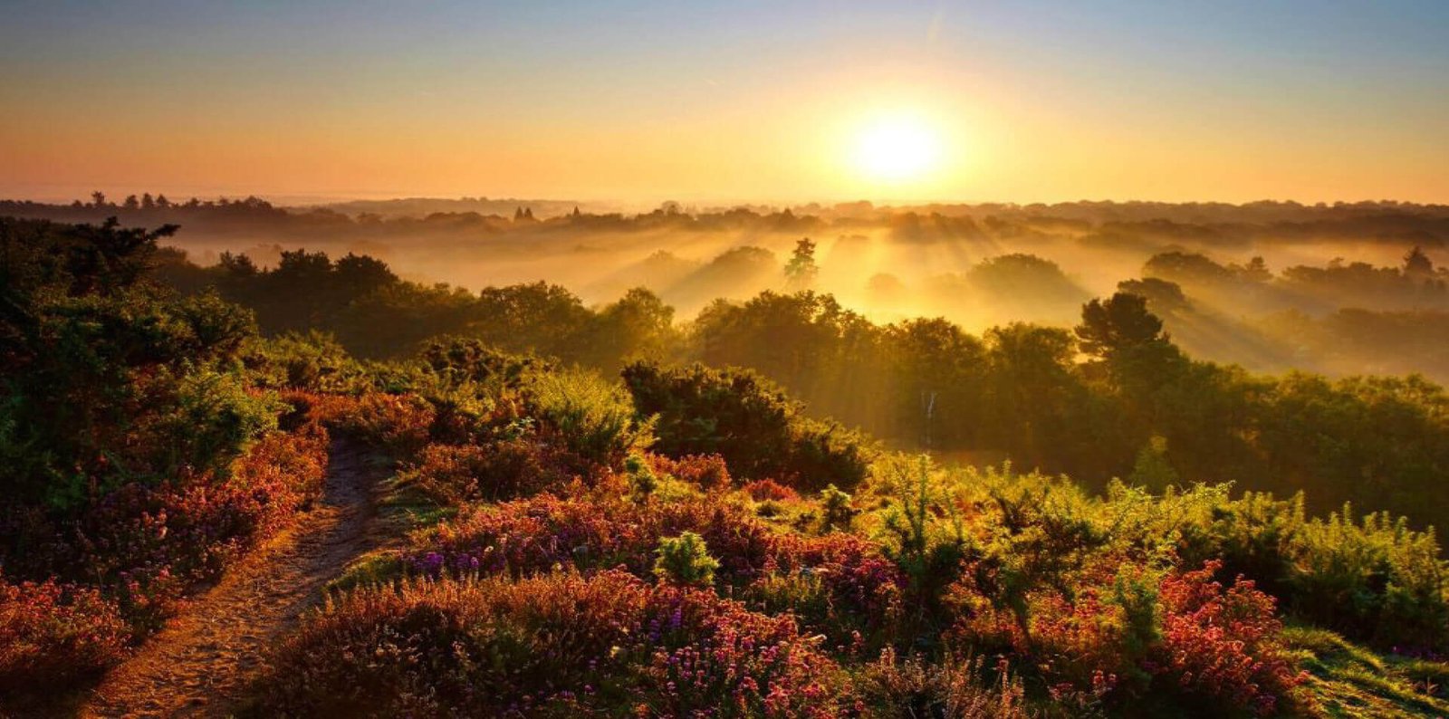 Read more about the article UK Government rules out zonal pricing